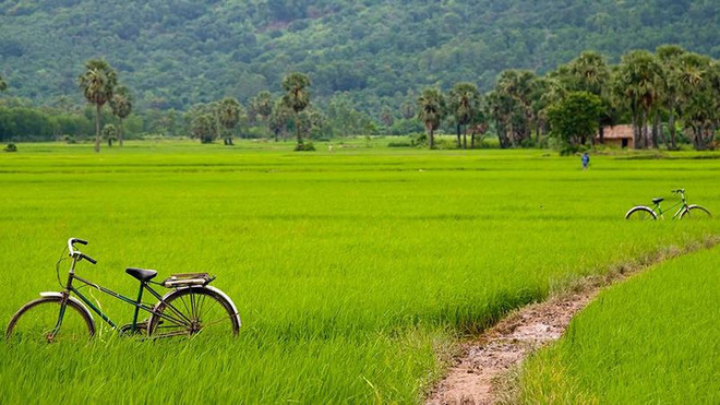 Le Figaro : les 10 sites et attractions incontournables au Vietnam ảnh 8 Le Figaro : les 10 sites et attractions incontournables au Vietnam ảnh 8