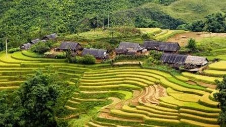 Lào Cai: De nombreux résultats pour le programme 135 ảnh 1