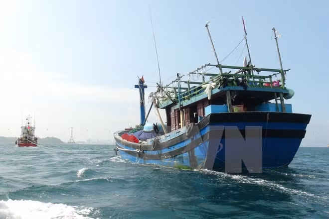 Sauvetage de cinq pêcheurs au large de l'archipel de Hoàng Sa ảnh 1
