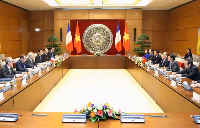 Entretien entre les présidents des AN vietnamienne et française ảnh 1