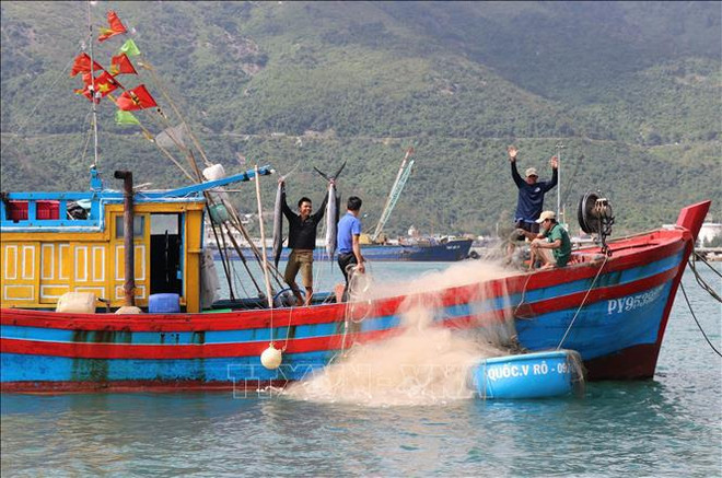 Pêche INN : il faut plus d'efforts de la part de la communauté des pêcheurs ảnh 2 Pêche INN : il faut plus d'efforts de la part de la communauté des pêcheurs ảnh 2