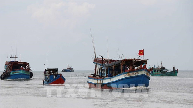 Pêche INN : il faut plus d'efforts de la part de la communauté des pêcheurs ảnh 1 Pêche INN : il faut plus d'efforts de la part de la communauté des pêcheurs ảnh 1