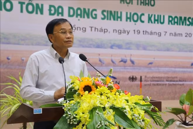 Des solutions efficaces pour conserver la biodiversité dans le Parc national de Tram Chim ảnh 1