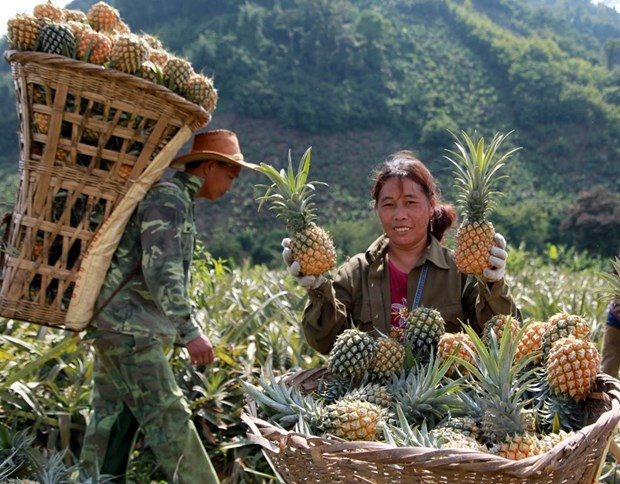 Concentrer des ressources financières pour soutenir les familles démunies ảnh 2 Concentrer des ressources financières pour soutenir les familles démunies ảnh 2