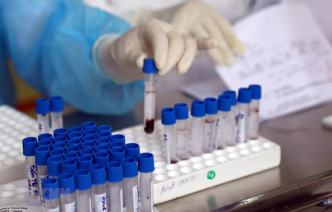 COVID-19 : 942 patients sont déclarés guéris ảnh 1 COVID-19 : 942 patients sont déclarés guéris ảnh 1