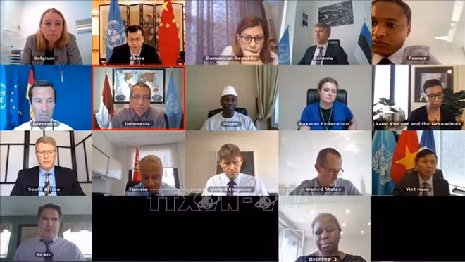 Vietnam/ONU : discussions sur la situation au Liban et au Darfour ảnh 1