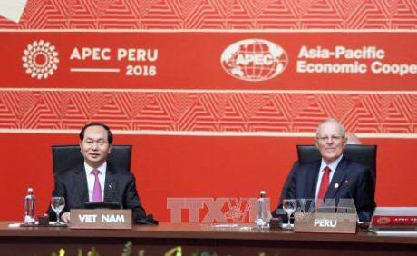 Clôture du 24e Sommet de l’APEC ảnh 1 Clôture du 24e Sommet de l’APEC ảnh 1