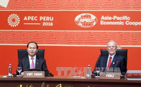 Clôture du 24e Sommet de l’APEC ảnh 1 Clôture du 24e Sommet de l’APEC ảnh 1