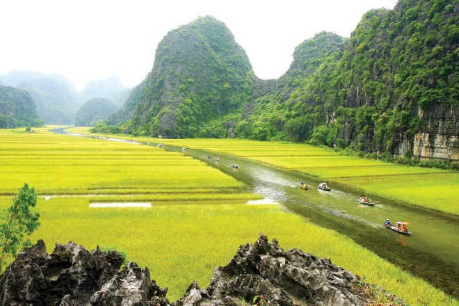 Le tournage du film américain Kong : Skull Island est à Ninh Binh ảnh 1 Le tournage du film américain Kong : Skull Island est à Ninh Binh ảnh 1