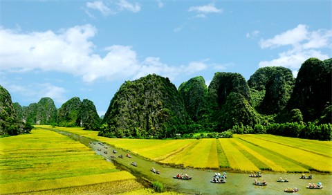 Le tournage du film américain Kong : Skull Island est à Ninh Binh ảnh 2 Le tournage du film américain Kong : Skull Island est à Ninh Binh ảnh 2