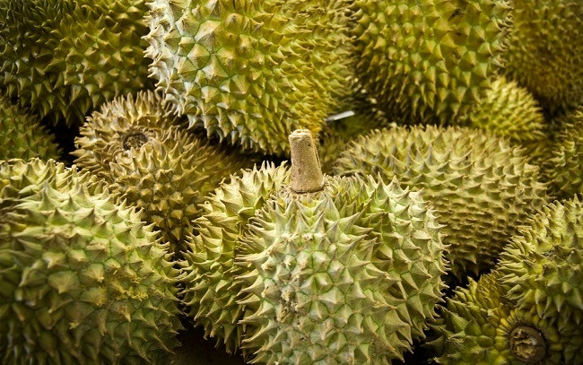 La Thaïlande, 1er fournisseur de fruits et de légumes au Vietnam en 7 mois ảnh 1 La Thaïlande, 1er fournisseur de fruits et de légumes au Vietnam en 7 mois ảnh 1