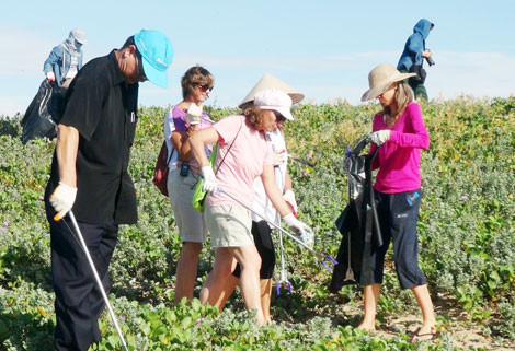 Plus de 400 étrangers participent au nettoyage de la plage de Tuy Hoa ảnh 1