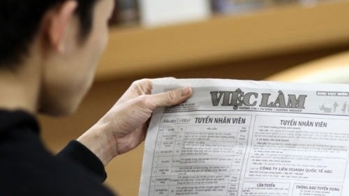 Développement du réseau d’informations sur l’emploi ảnh 1 Développement du réseau d’informations sur l’emploi ảnh 1