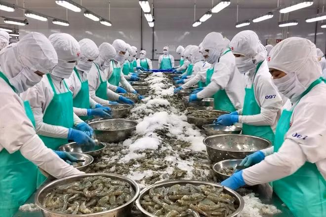 Les Etats-Unis, seul marché à l'export de plus de 10 milliards d’USD en janvier-février ảnh 1