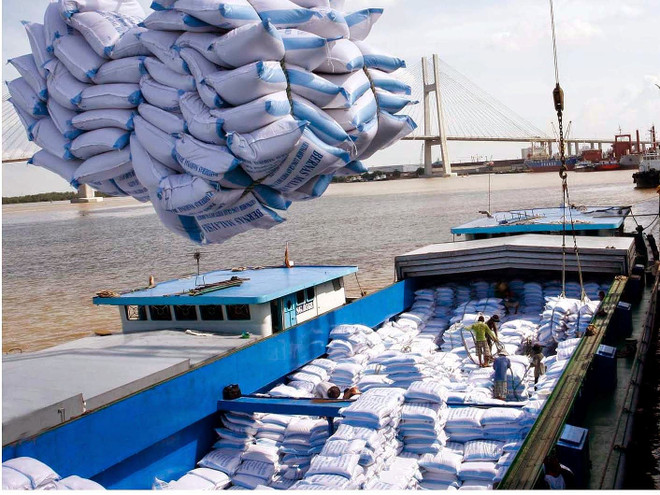 Les Etats-Unis optimiste quant aux exportations vietnamiennes de riz ảnh 1 Les Etats-Unis optimiste quant aux exportations vietnamiennes de riz ảnh 1