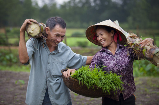 Acquis importants du Vietnam dans le domaine de l’égalité des sexes ảnh 1 Acquis importants du Vietnam dans le domaine de l’égalité des sexes ảnh 1
