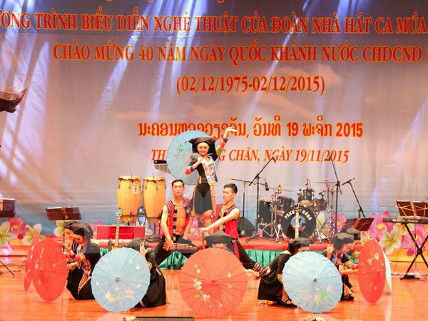 Promotion du développement intégral des relations Vietnam-Laos ảnh 1