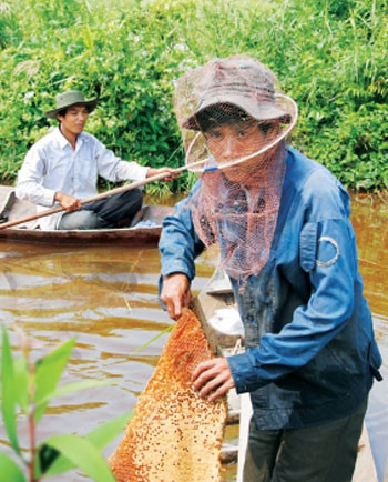 À Cà Mau, ils en font leur miel... ảnh 1 À Cà Mau, ils en font leur miel... ảnh 1