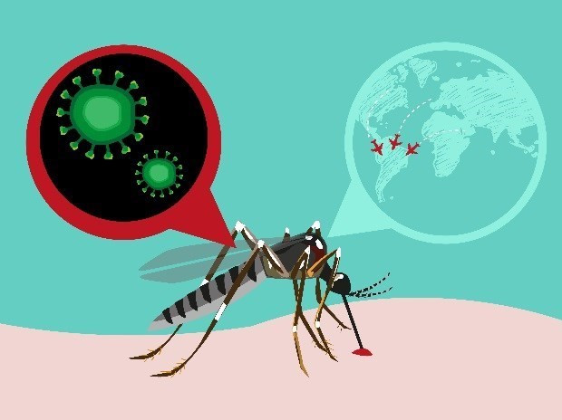 Le cas infecté par le virus Zika au Japon n’est pas vietnamien ảnh 1 Le cas infecté par le virus Zika au Japon n’est pas vietnamien ảnh 1