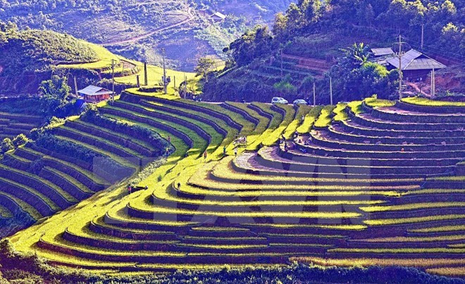 Semaine culturelle et touristique des rizières en terrasses de Mu Cang Chai 2016 ảnh 1 Semaine culturelle et touristique des rizières en terrasses de Mu Cang Chai 2016 ảnh 1
