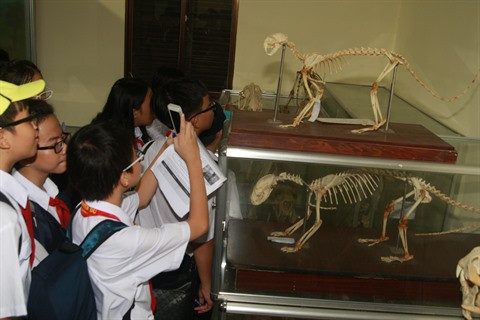 Continuer de promouvoir les cours formels à l’extérieur de l’école ảnh 1 Continuer de promouvoir les cours formels à l’extérieur de l’école ảnh 1