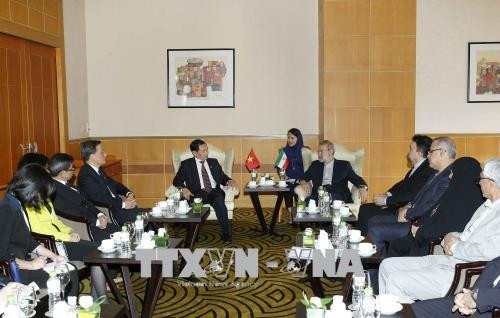 Promotion des relations d’amitié et de coopération Vietnam-Iran ảnh 1 Promotion des relations d’amitié et de coopération Vietnam-Iran ảnh 1