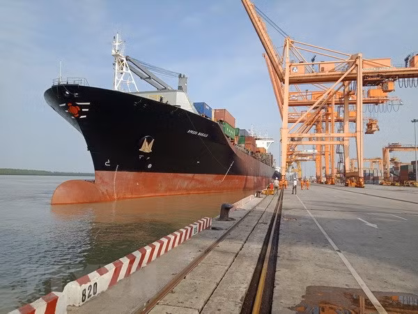 Hai Phong accueille le plus gros porte-conteneurs ảnh 1