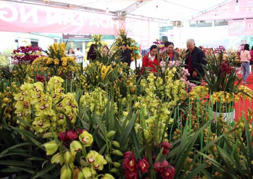 Ouverture de la foire-expo "Têt Viêt 2017" et de la foire printanière Dinh Dâu ảnh 1 Ouverture de la foire-expo "Têt Viêt 2017" et de la foire printanière Dinh Dâu ảnh 1