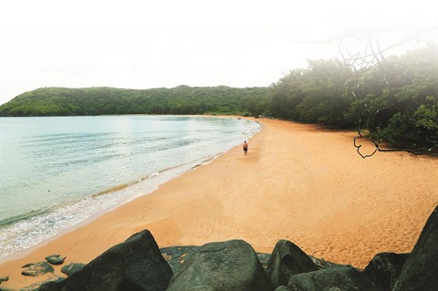 Lancement du concours «Profitez de l’identité vietnamienne» ảnh 1 Lancement du concours «Profitez de l’identité vietnamienne» ảnh 1