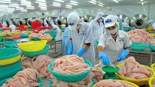 Delta du Mékong: La filière aquatique «rechargera ses accus» en 2016 ảnh 1 Delta du Mékong: La filière aquatique «rechargera ses accus» en 2016 ảnh 1