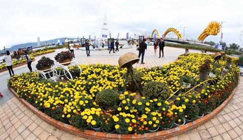 Dà Nang promeut le tourisme MICE ảnh 1 Dà Nang promeut le tourisme MICE ảnh 1