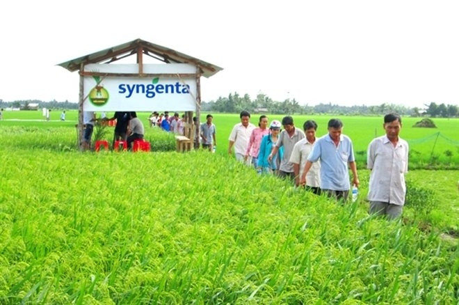 Syngenta ne cesse de soutenir le Vietnam pour un développement durable de l’agriculture ảnh 1