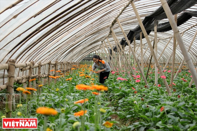Yên So - un exemple de l'édification d'une Nouvelle ruralité à Hanoi ảnh 2 Yên So - un exemple de l'édification d'une Nouvelle ruralité à Hanoi ảnh 2