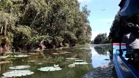 La zone humide de Lang Sen, 7e site Ramsar du Vietnam ảnh 1 La zone humide de Lang Sen, 7e site Ramsar du Vietnam ảnh 1