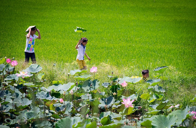 Vietnam - Pays-Bas : coopération entre la province de Dông Tháp et la ville d’Emmen ảnh 1 Vietnam - Pays-Bas : coopération entre la province de Dông Tháp et la ville d’Emmen ảnh 1