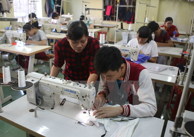 Lancement du Comité national chargé des personnes handicapées ảnh 1 Lancement du Comité national chargé des personnes handicapées ảnh 1