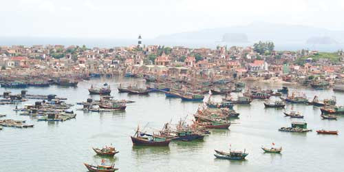 Trois unités administratives de Thanh Hoa reconnues communes insulaires ảnh 1