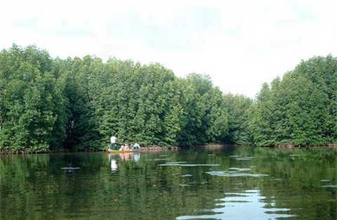 Hô Chi Minh-Ville, la diversité d’une métropole qui bouge ảnh 6 Hô Chi Minh-Ville, la diversité d’une métropole qui bouge ảnh 6