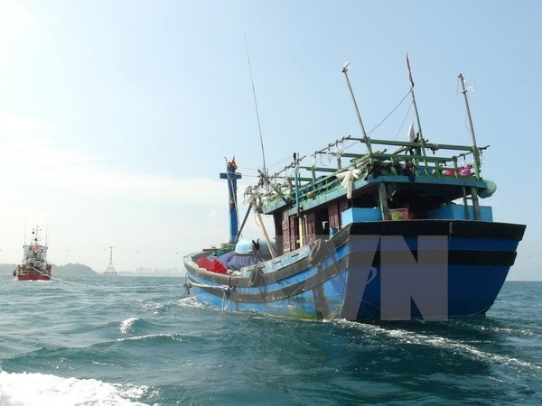 Quang Binh : sauvetage d'un Chinois sinistré en mer ảnh 1 Quang Binh : sauvetage d'un Chinois sinistré en mer ảnh 1