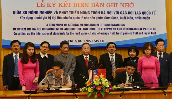 Hanoi va exporter des fruits au Japon et en Malaisie ảnh 1