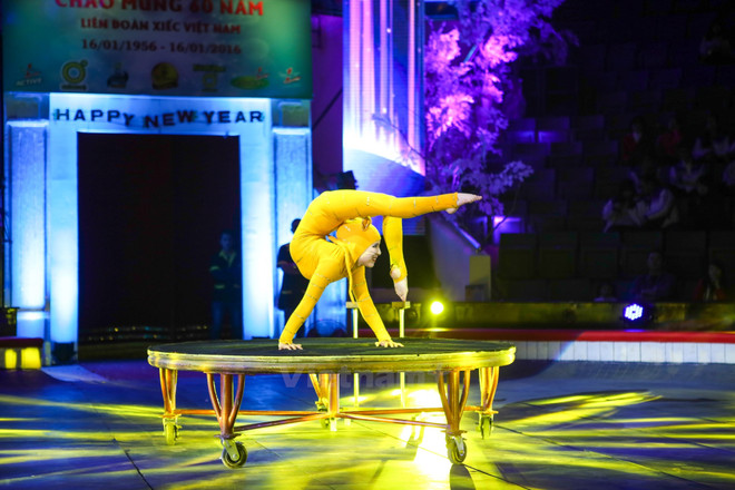 Ouverture du Gala international du cirque 2016 à Hanoi ảnh 2 Ouverture du Gala international du cirque 2016 à Hanoi ảnh 2