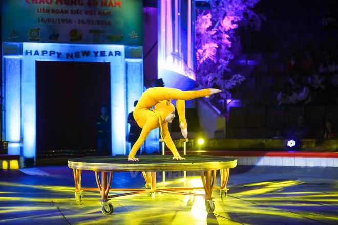 Ouverture du Gala international du cirque 2016 à Hanoi ảnh 2