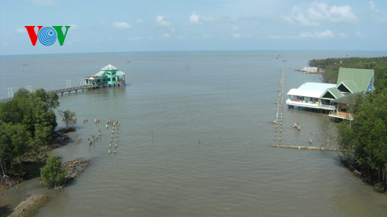 Forte croissance du nombre de touristes à Dât Mui en 2016 ảnh 1 Forte croissance du nombre de touristes à Dât Mui en 2016 ảnh 1