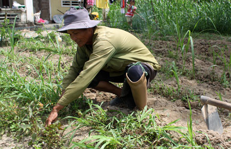 Renforcer l’aide aux victimes des bombes et des mines ảnh 1