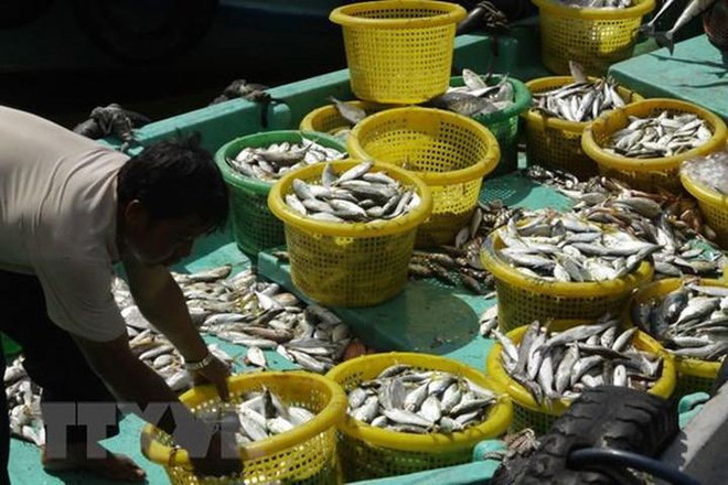 Promouvoir les potentiels de l’économie maritime de Kien Giang ảnh 2 Promouvoir les potentiels de l’économie maritime de Kien Giang ảnh 2