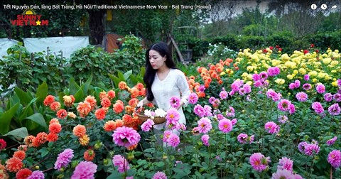 Quand une chaîne Youtube assure la promotion du tourisme vietnamien ảnh 3