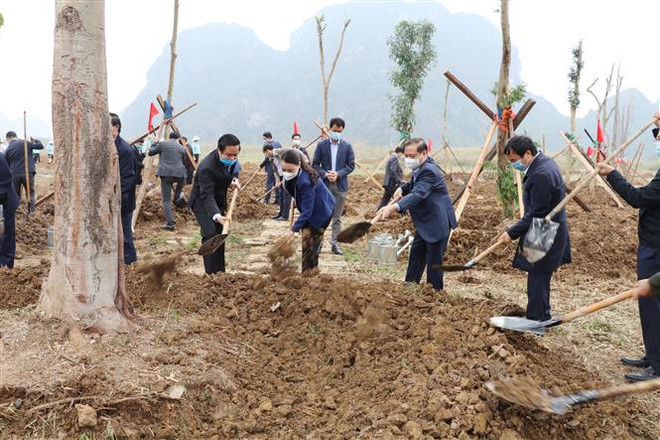 Lancement de la Fête de plantation d’arbres du printemps 2021 dans des localités ảnh 1