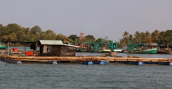 Kien Giang : des exportations au beau fixe ảnh 1 Kien Giang : des exportations au beau fixe ảnh 1