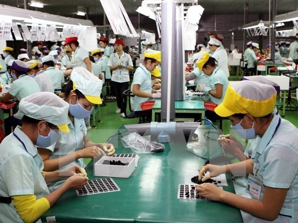 Le Vietnam va devenir la Silicon Valley de l’Asie du Sud-Est ảnh 1  Le Vietnam va devenir la Silicon Valley de l’Asie du Sud-Est ảnh 1