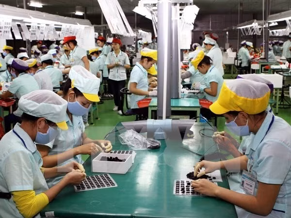  Le Vietnam va devenir la Silicon Valley de l’Asie du Sud-Est ảnh 1